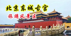 男人叉女人又黄又湿视频中国北京-东城古宫旅游风景区